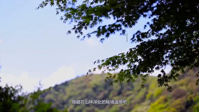 在家也可以做的微波炉爆米花游戏画面