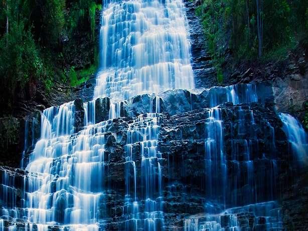 逃离水虎鱼湖